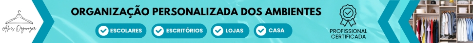 http://www.alvesorganizer.com.br