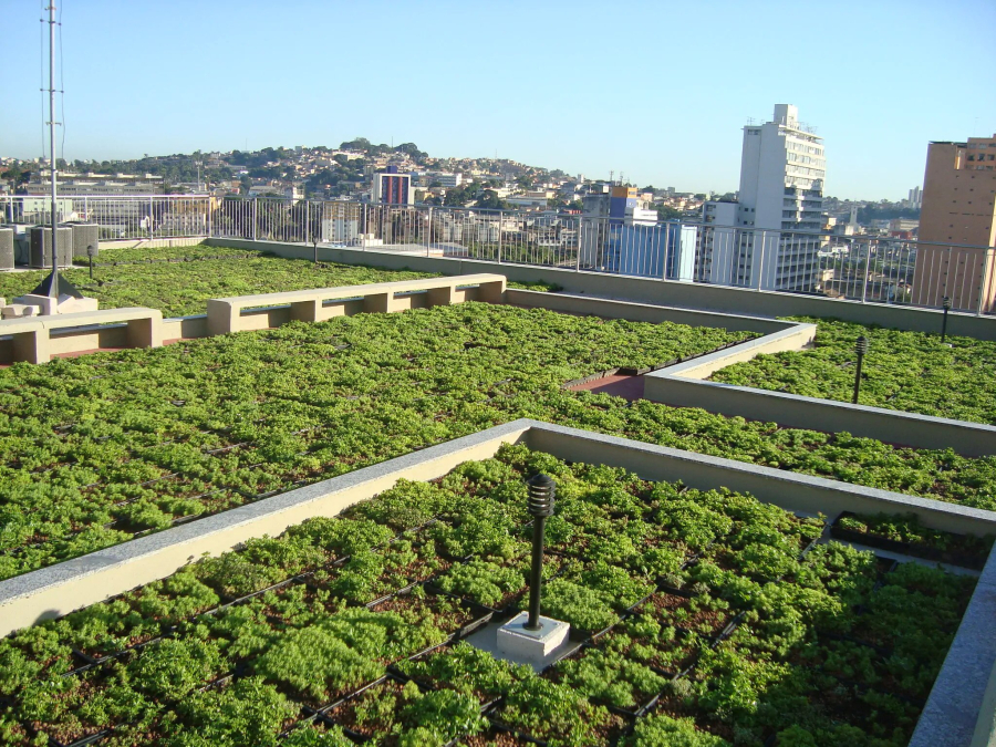 Sustentabilidade e Escolas Ecológicas: Novas Práticas de Construção e Gestão.